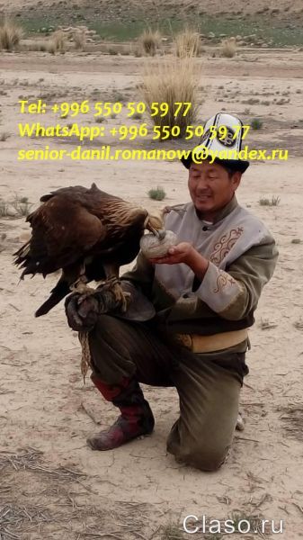 Гид, водитель в Кыргызстане, туристические услуги, путешествия в горы