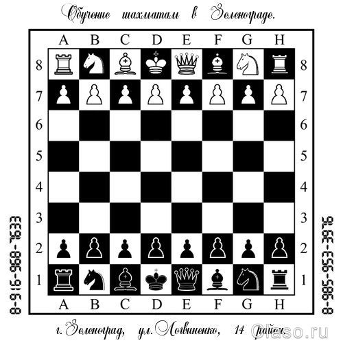 Обучение шахматам и шашкам
