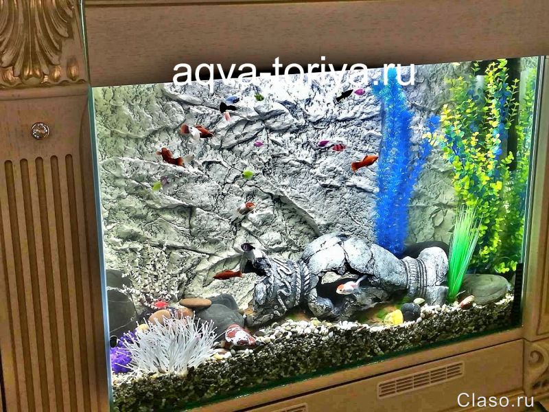 Изготовление аквариумов любой формы и размеров
