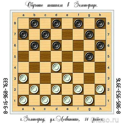 Обучение шахматам и шашкам в Зеленограде