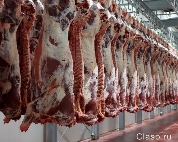 Мясо говядины, Куриное, в ассортименте, доставка от 2 до 19 т. , оптом